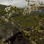 Zornica 3* Chepelare
