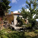 Zornica 3*