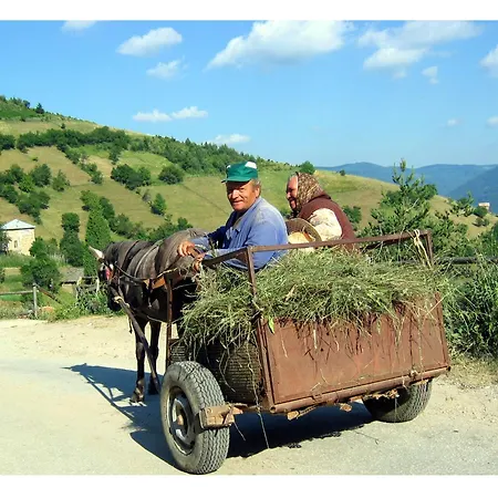 酒店 Zornica 切佩拉雷
