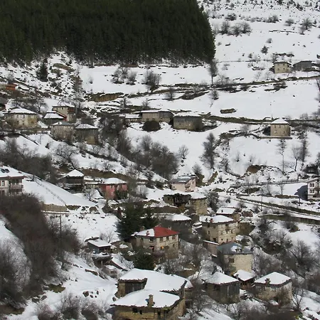 Zornica 3*