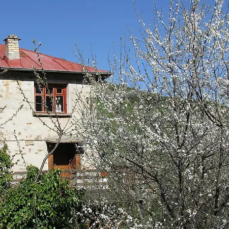 Zornica Чепеларе