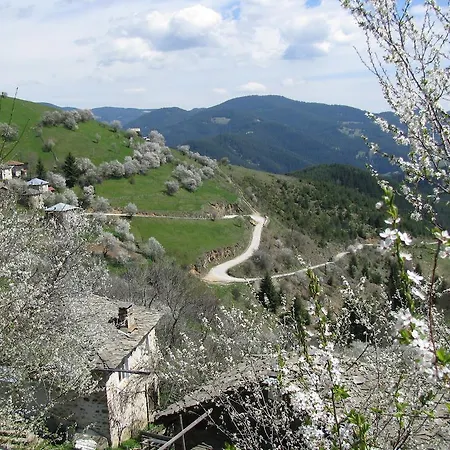 Хотел Zornica