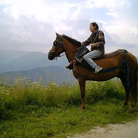 Zornica Чепеларе