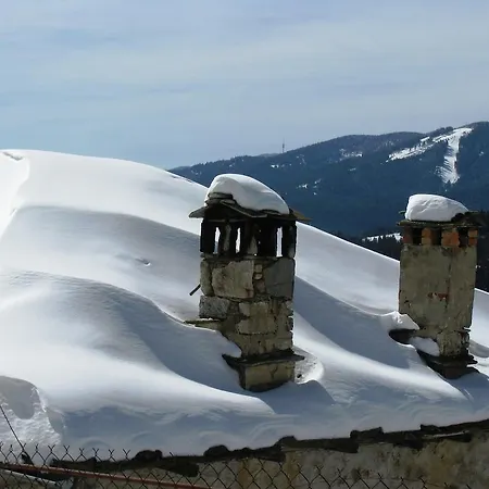 Zornica