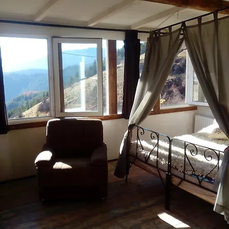 Zornica 3*