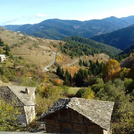 Zornica