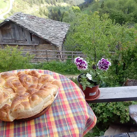 Guest house Zornica 3*