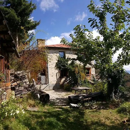 Zornica 3*