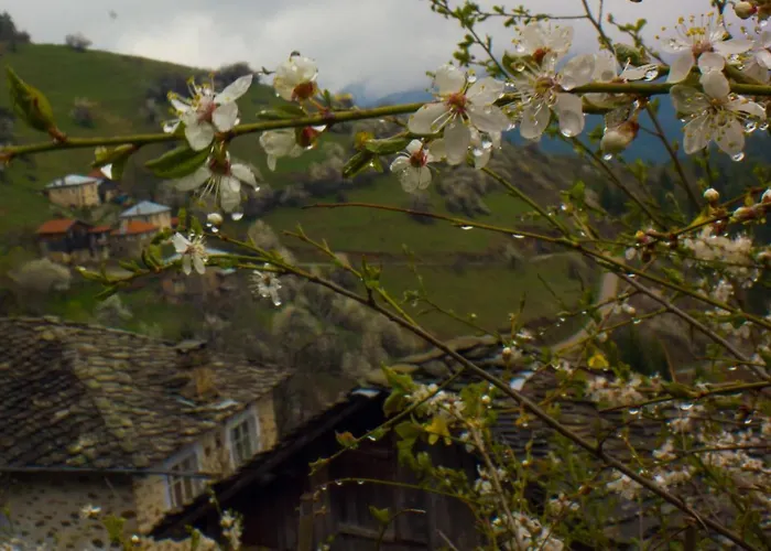 Zornica 3* 切佩拉雷