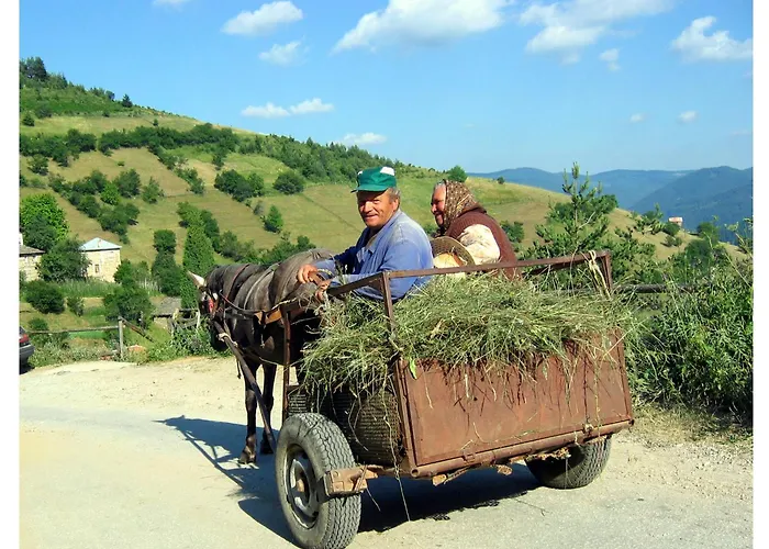 酒店 Zornica 切佩拉雷