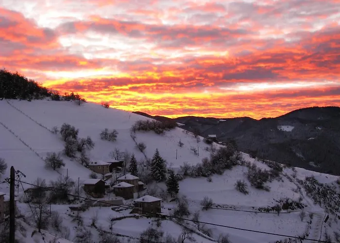 Zornica 切佩拉雷