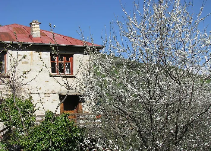 Zornica 切佩拉雷