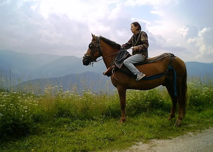 Zornica 切佩拉雷